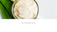 frische Aloe